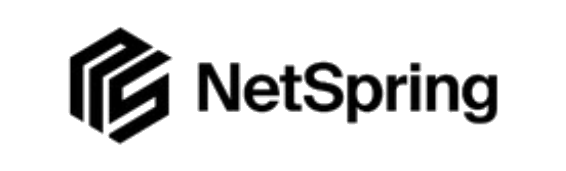 NetSpring logo